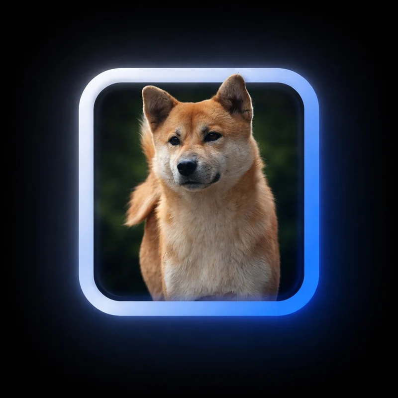 ■AKITA share token: the akita inside a Base-blue square